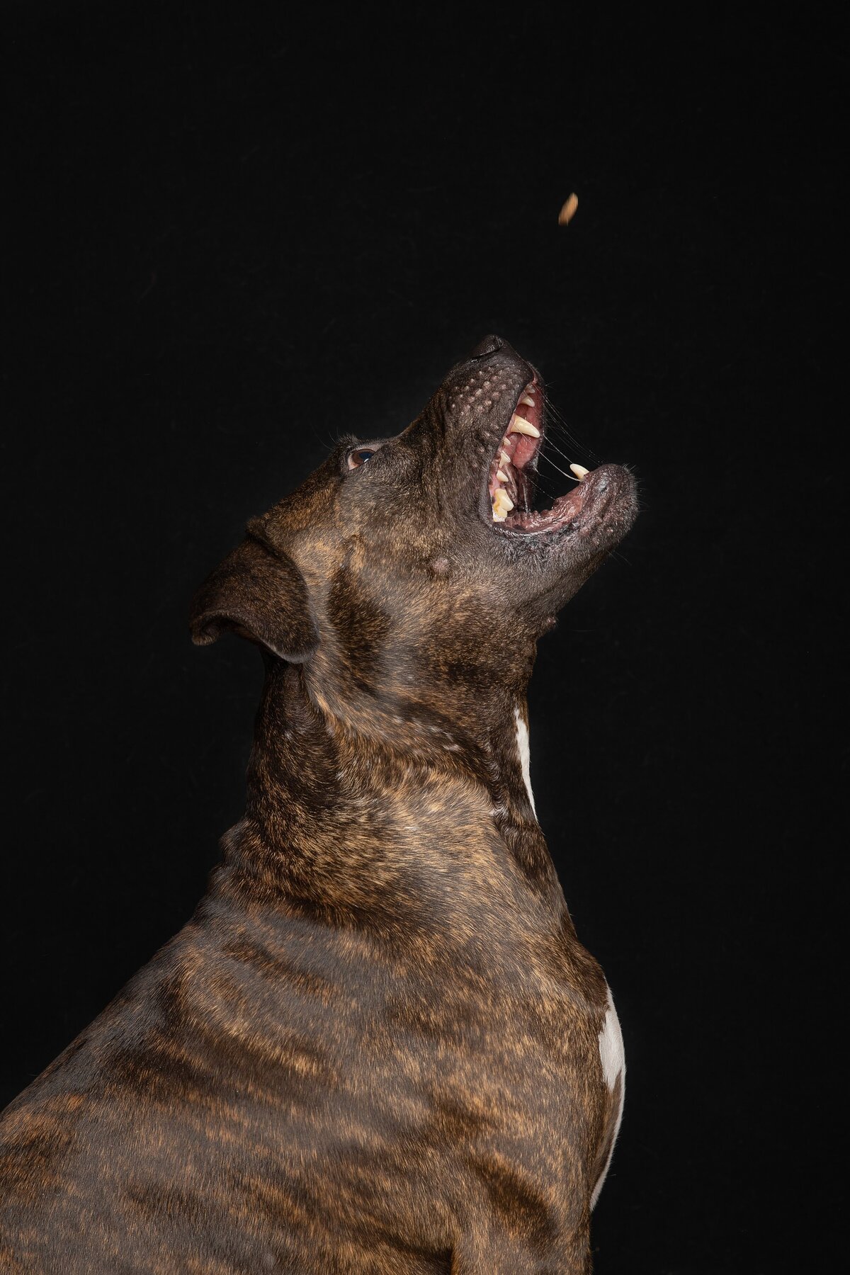 408A3855-Edit