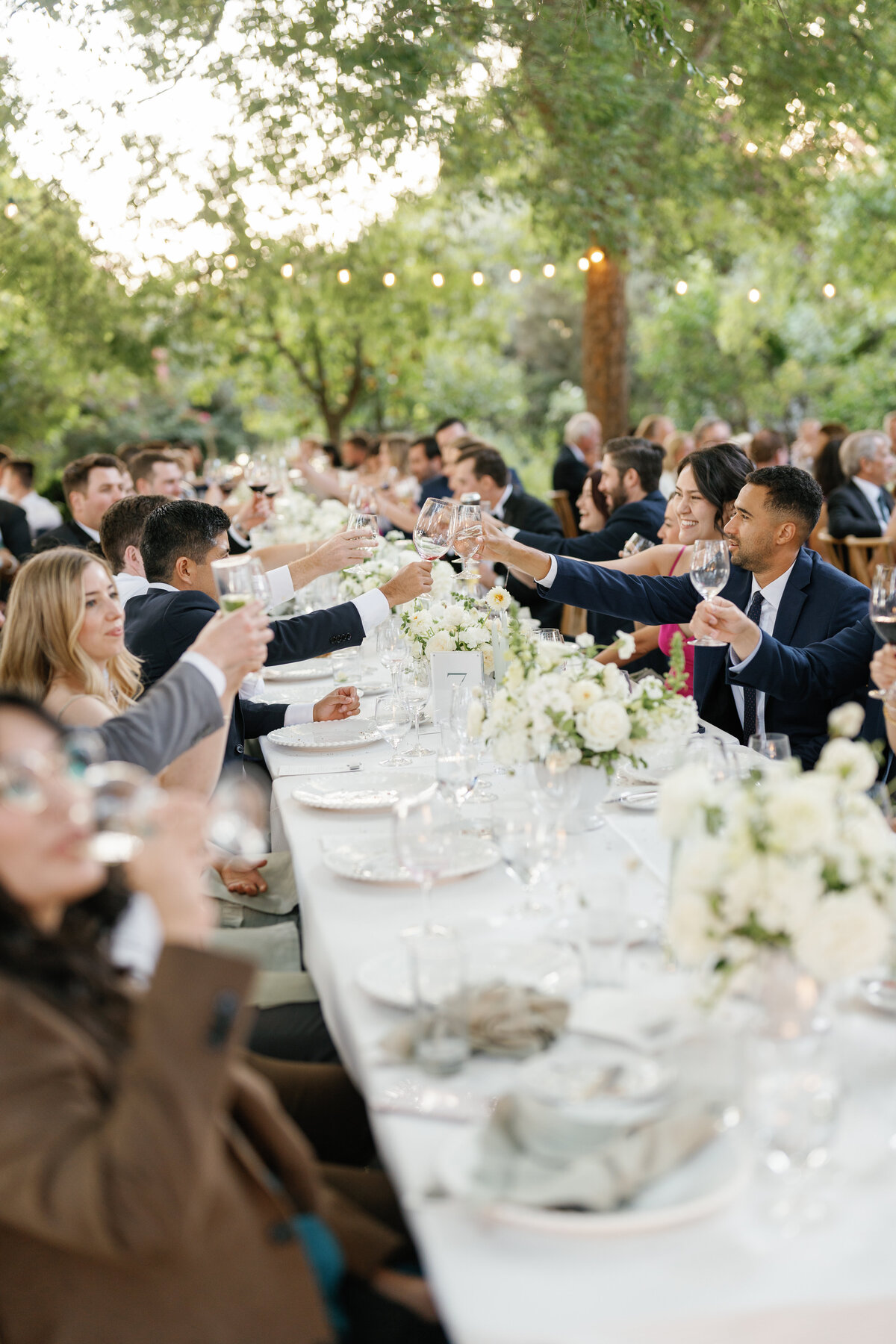 Healdsburg Wedding Photographer
