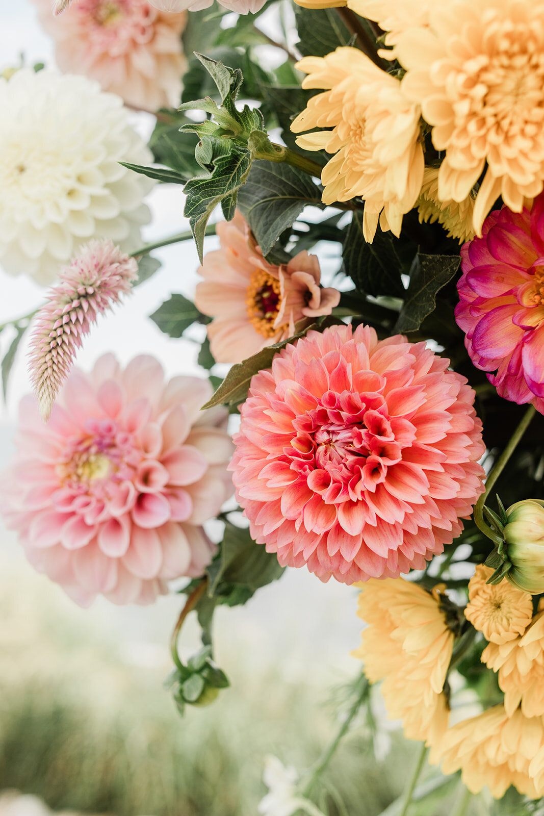 ShaneandTaraWedding-461_websize