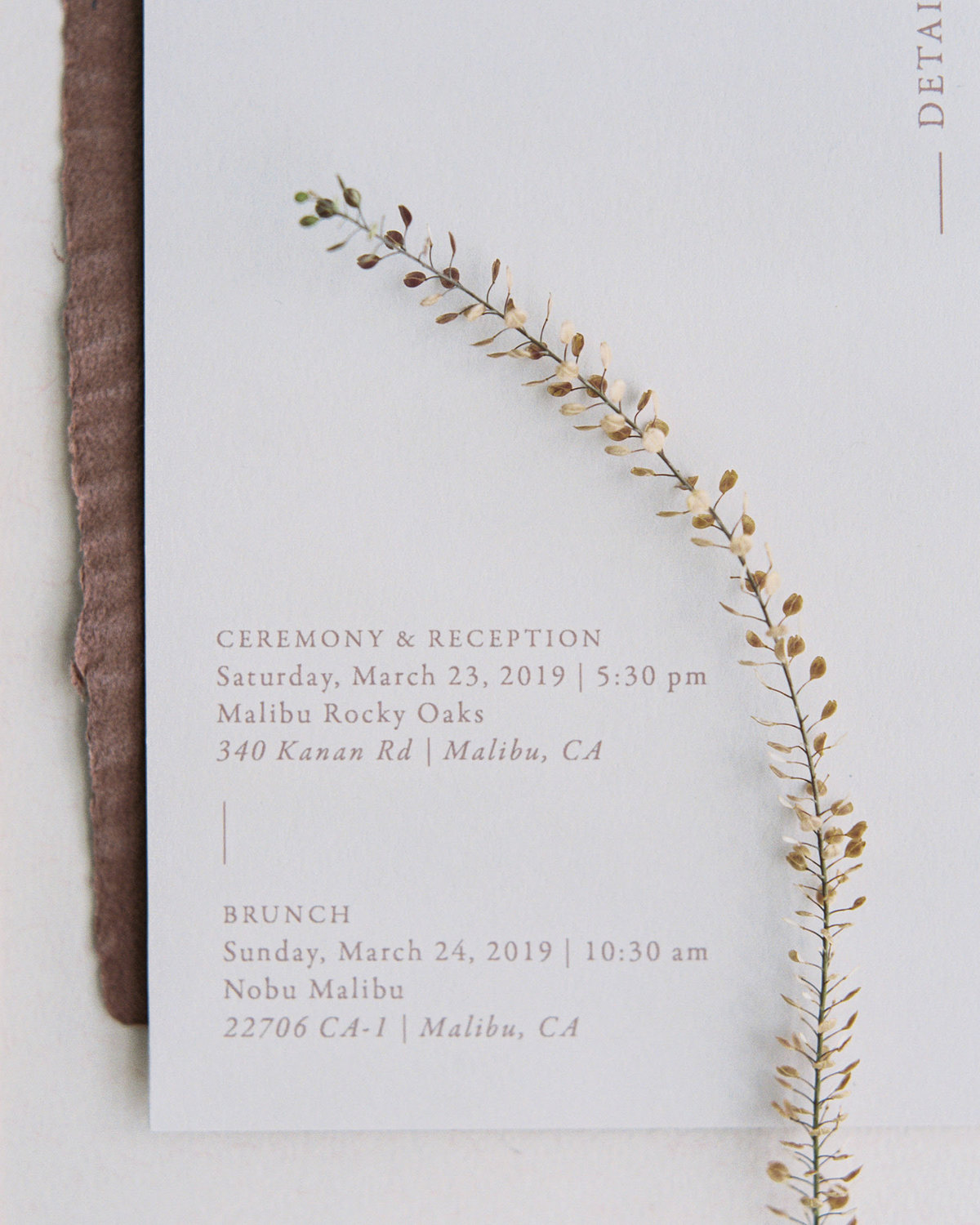 Dominique Alba minimal and modern wedding invitation detail card