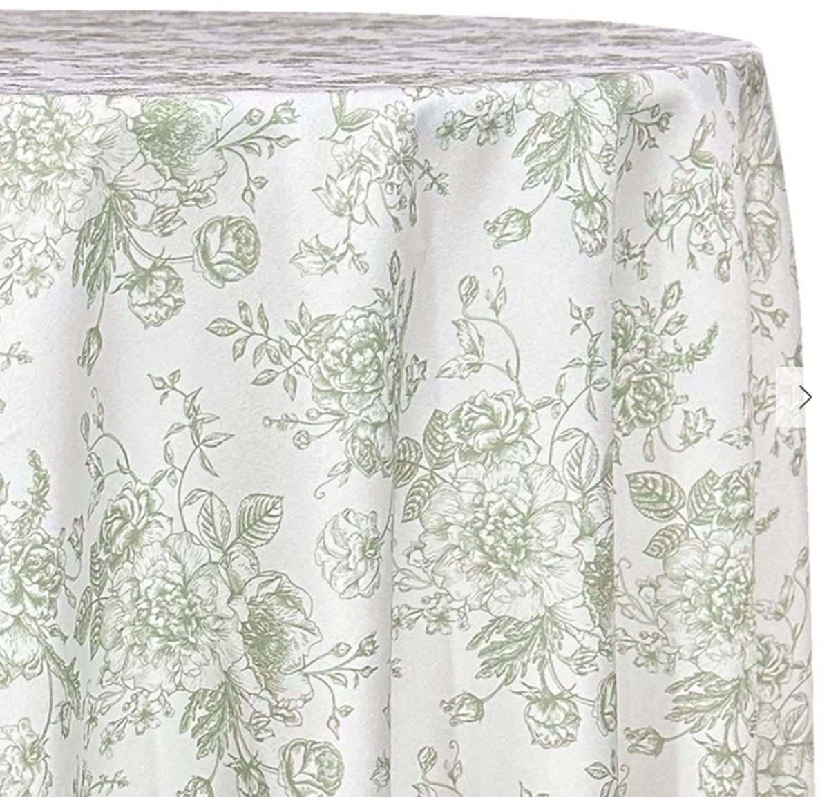 Sage Toile