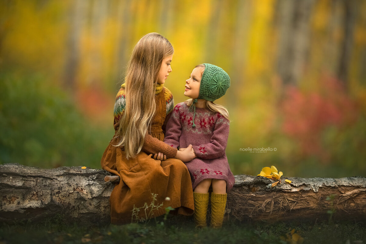 Girls dressed in knts sitting on a log talking in autumn colours.
