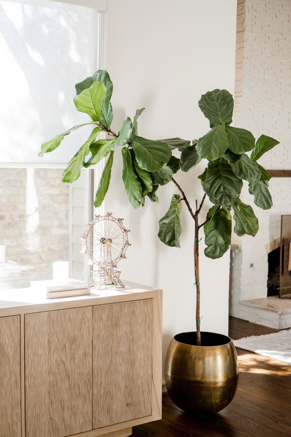 rebekah-nicole-interiors-ember-project-living-room-styling-fiddle-leaf-fig