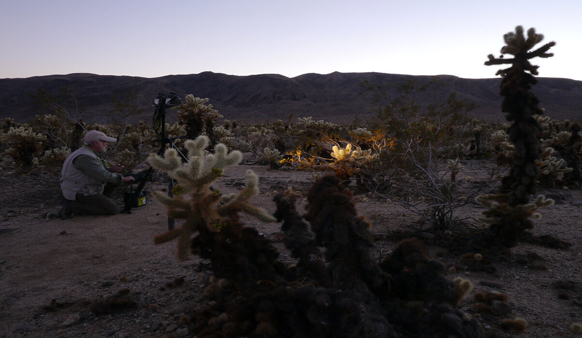 LM_LightPaint_1