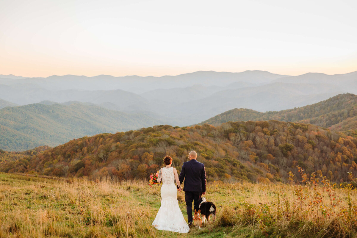 Max-Patch-NC-Mountain-Elopement-55
