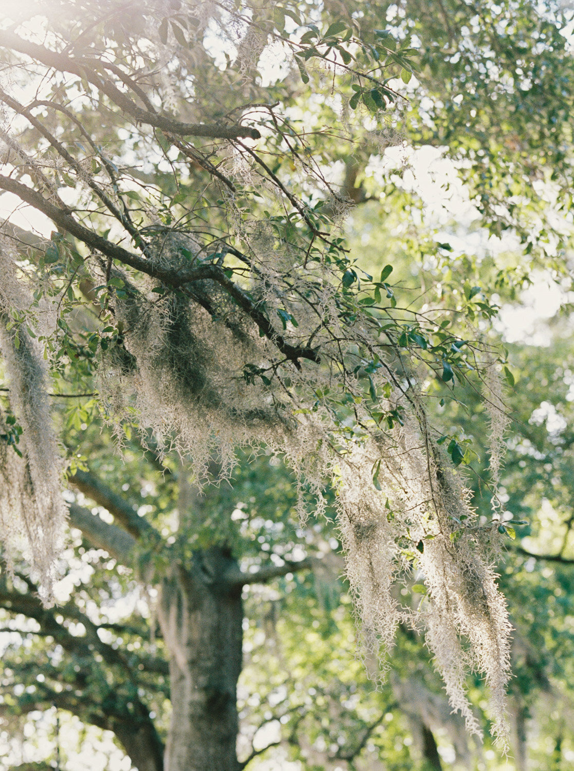 NC Wedding Photographer-43