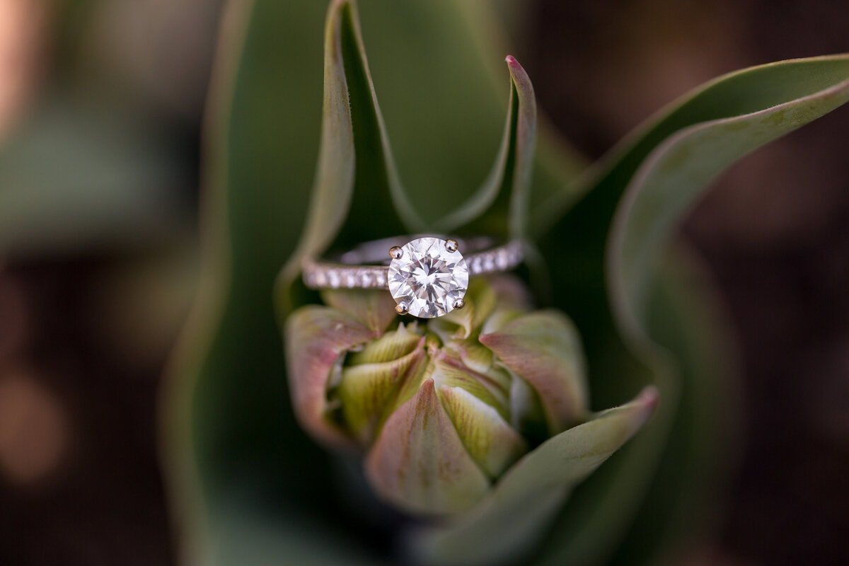LH Engagement-2