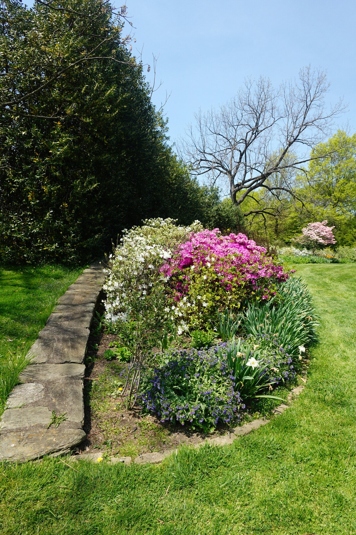 Multi-colored Greenery