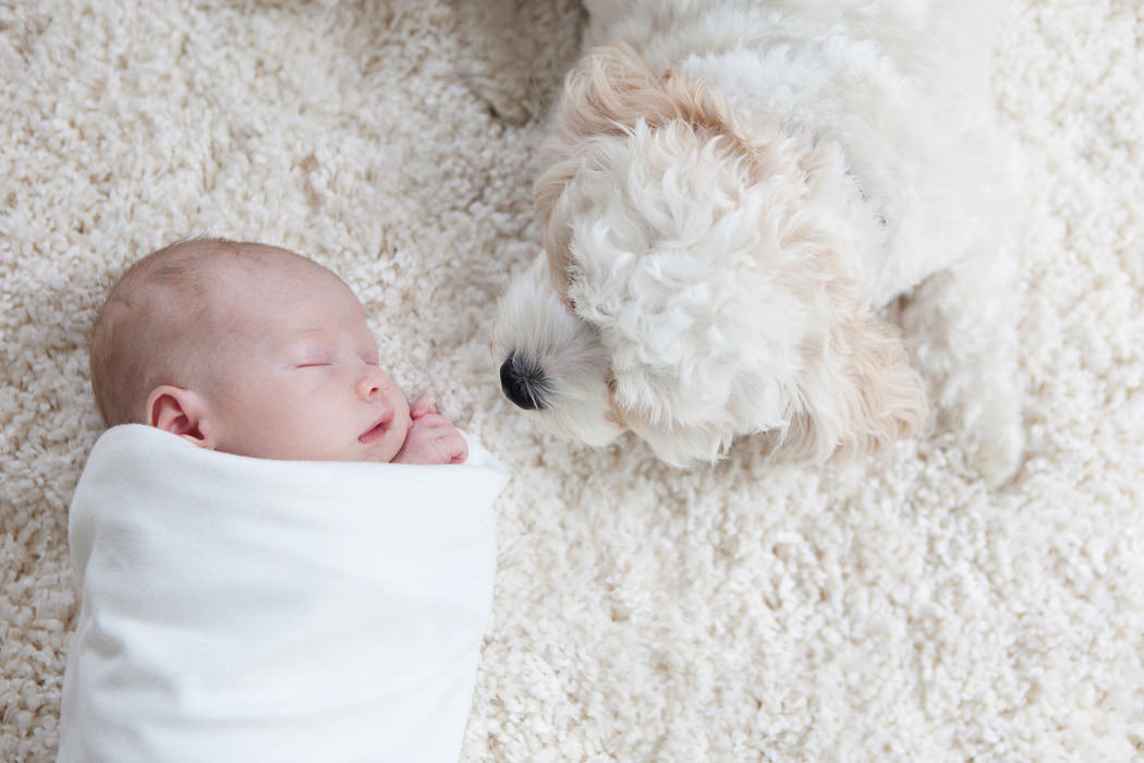 St_Louis_baby_newborn_photographer_home_lifestyle_L_Photographie10