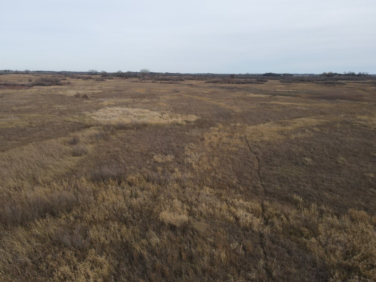 DJI_0158