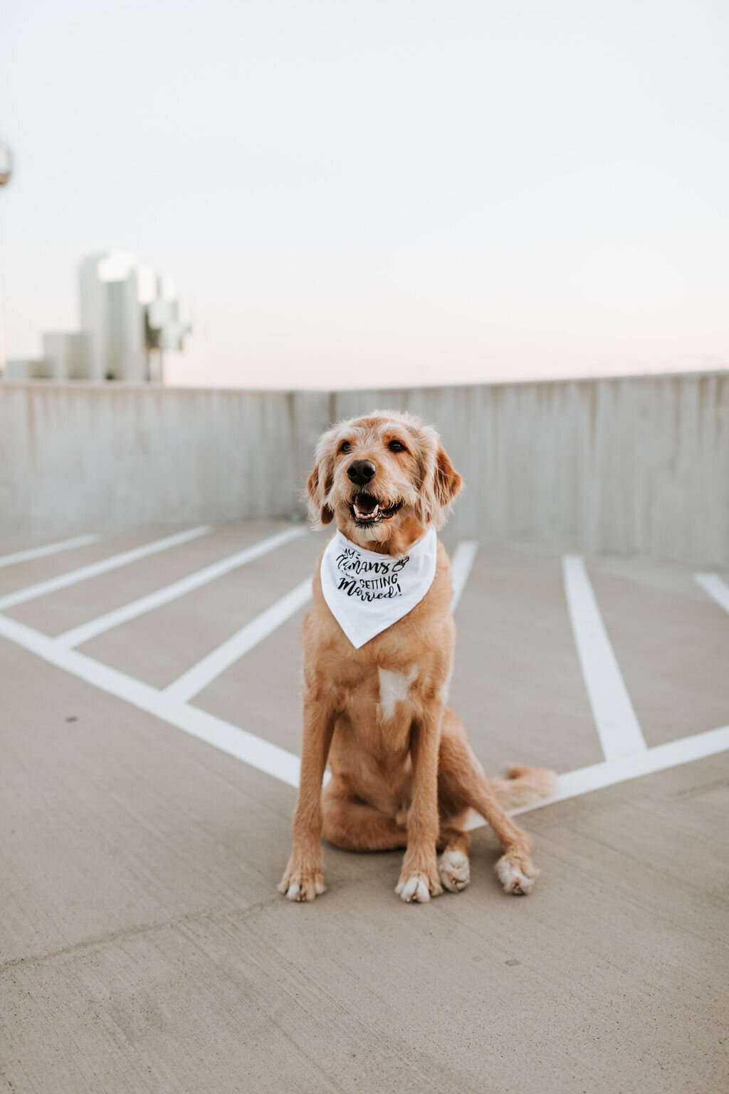 PeytonandEricEngagementSession|ReibPhotography|DallasWeddingPhotographer-169