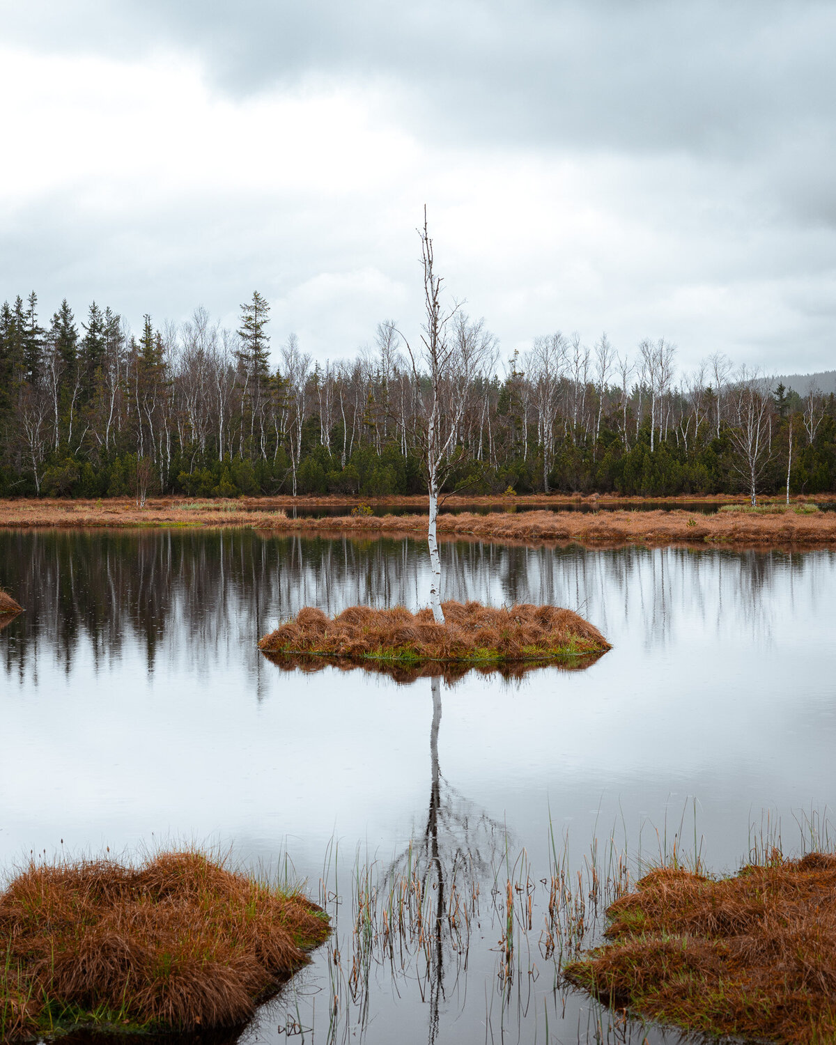 Chalupská slať, Šumava