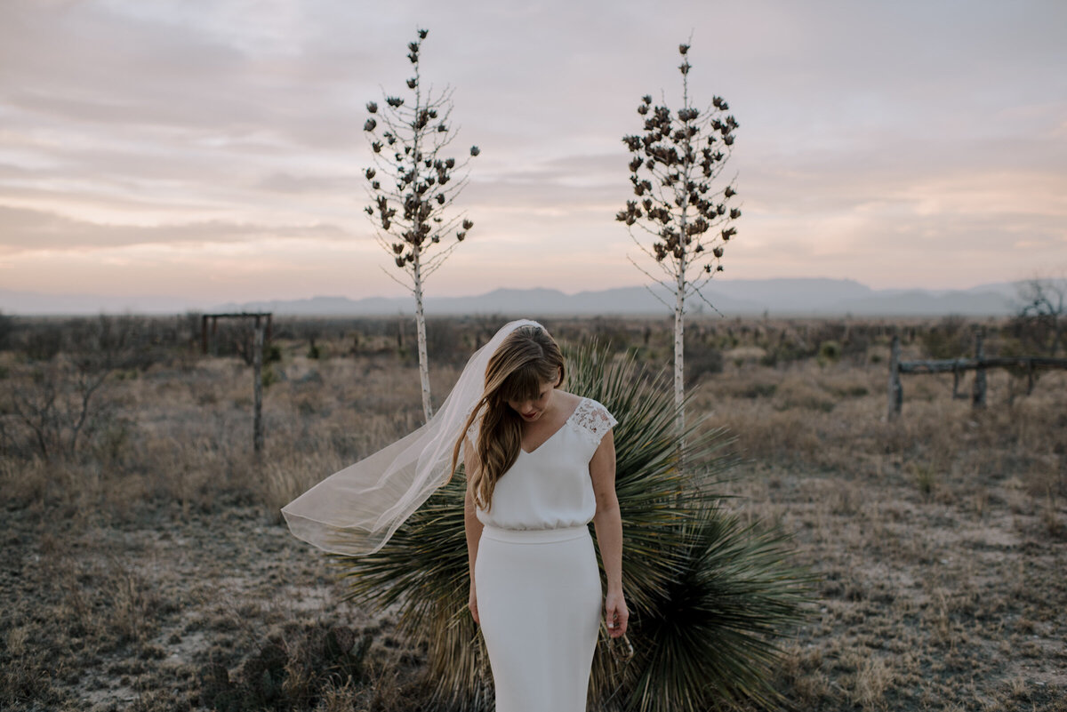 Cabo-San-Lucas-Wedding-Photographer-5