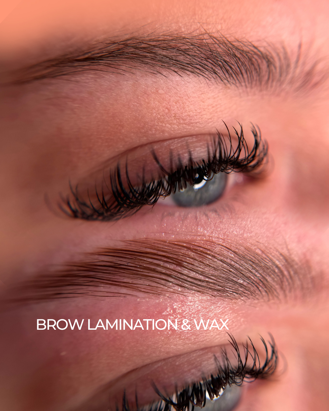 brow lamination