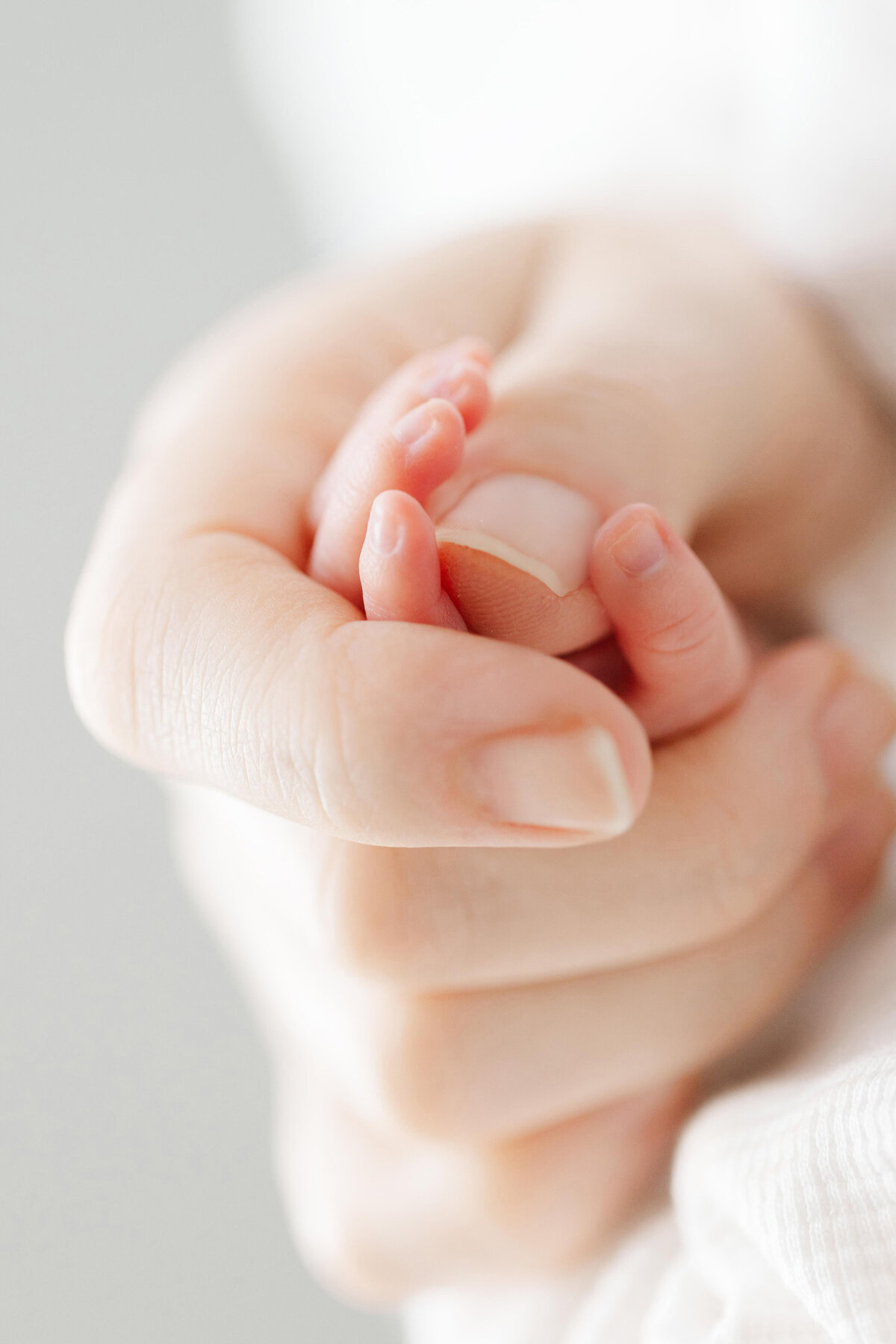 DC-newborn-photographer-stephanie-honikel-photography011