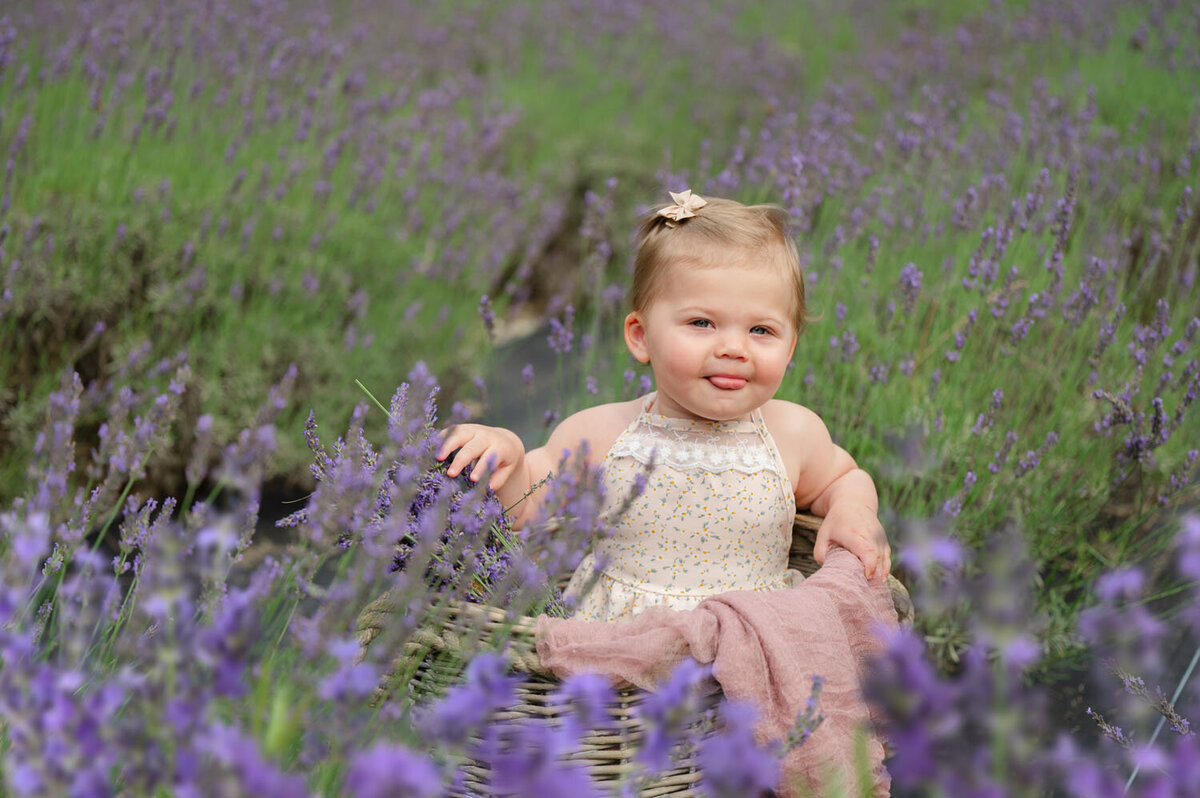 NJ slavender field photoshoot pleasant valley lavender farm-399