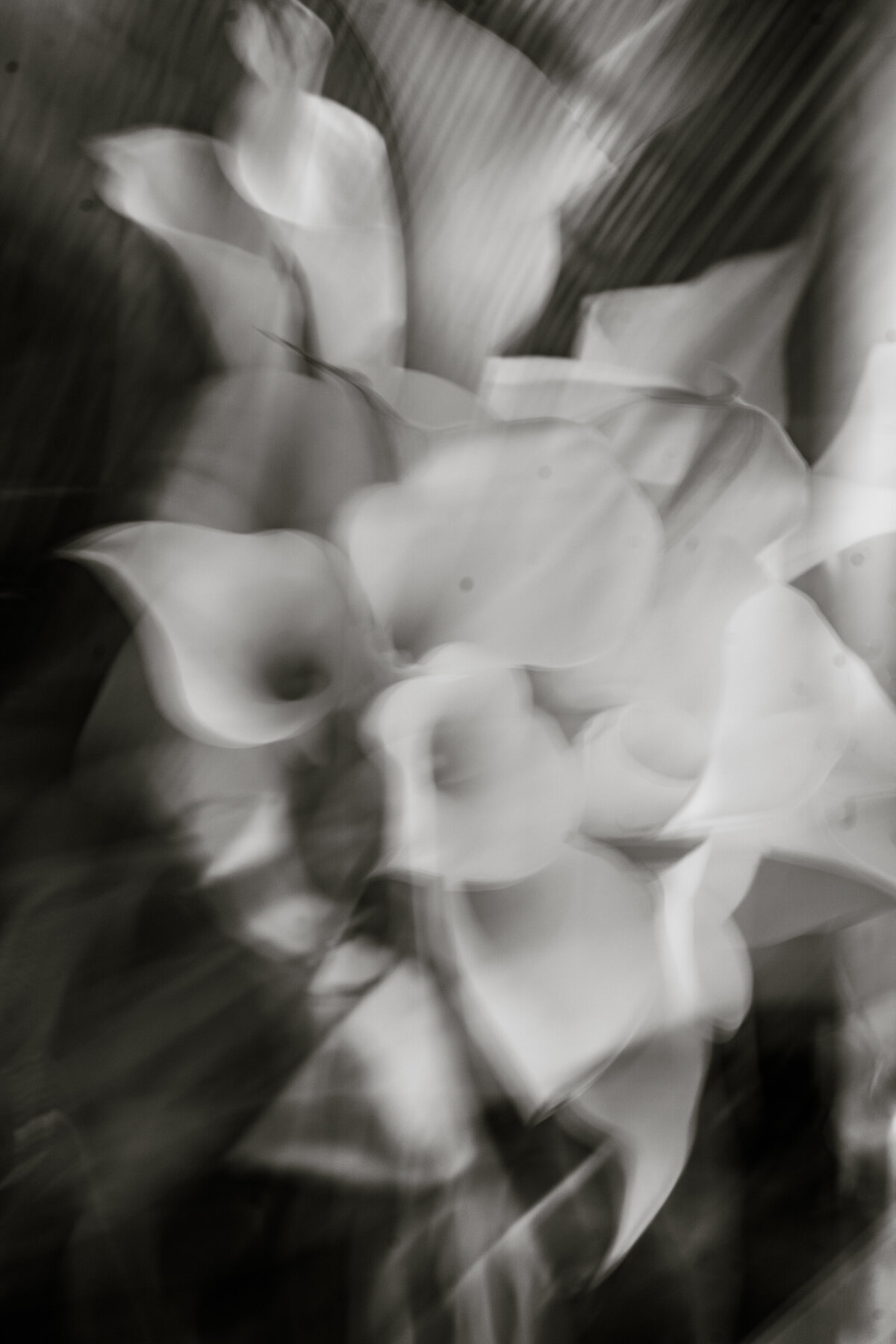 toronto-wedding-planner-weddings-at-royalconservatoryofmusic1