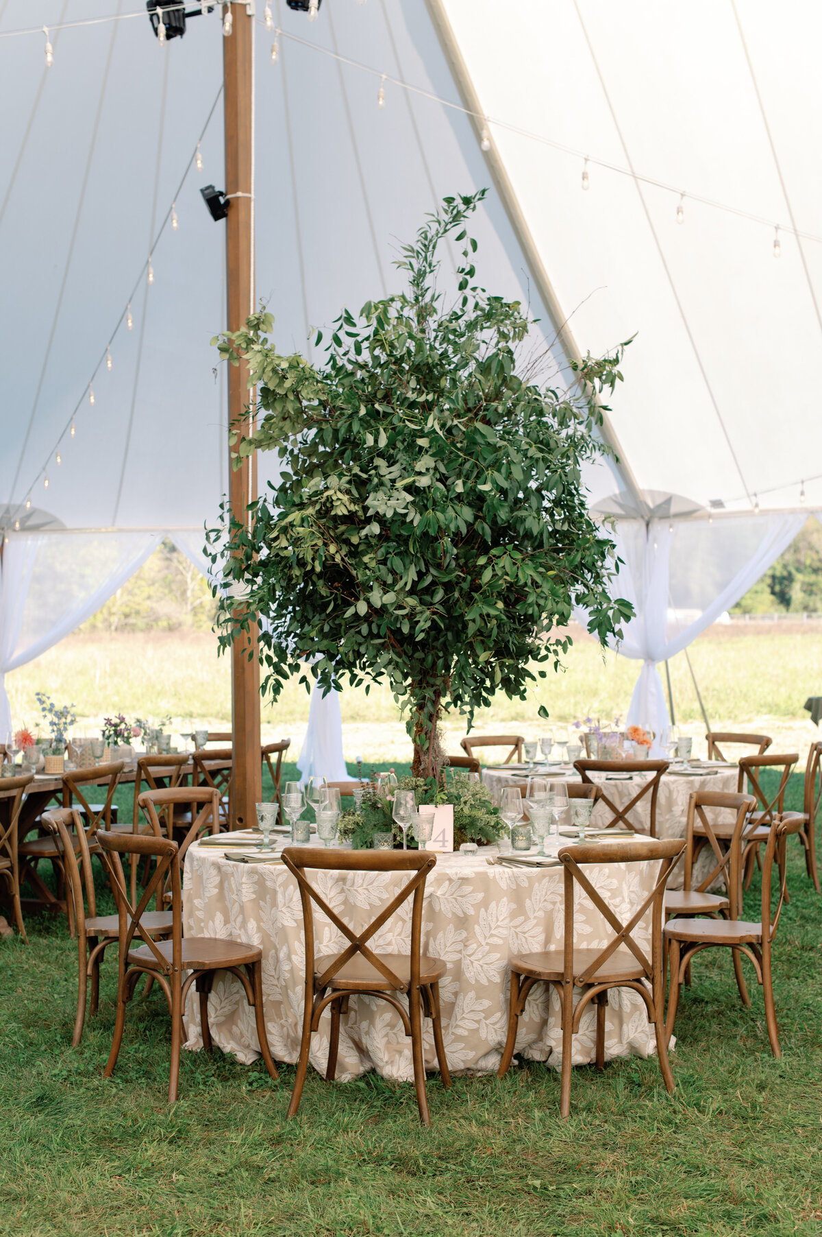 Omni-Homestead-Wedding-Planner-Hot-Springs-51