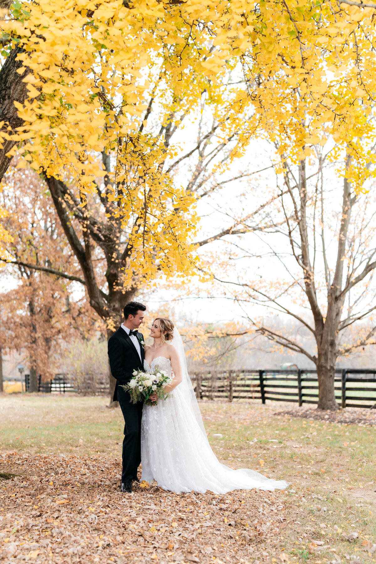 fall wedding portrait under yellow gingko trees at Hermitage Farm Wedding Venue