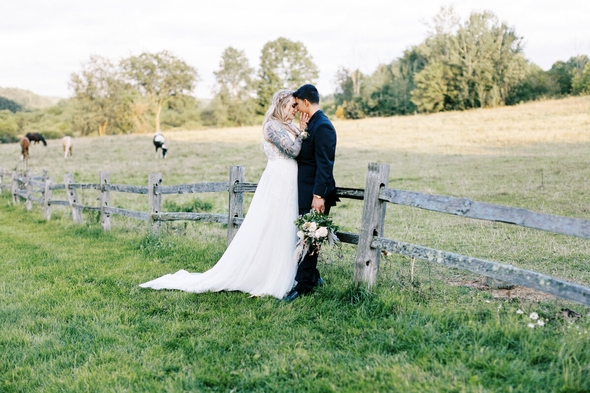 Bride and groom posing for a photo with cows on the background in Minnesota