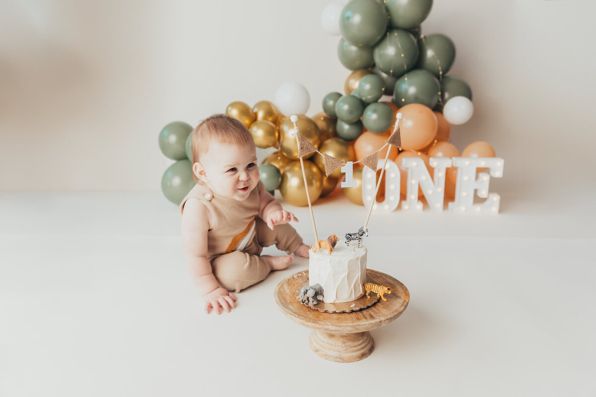 cake-smash-photographer-harrisburg_3572-Edit