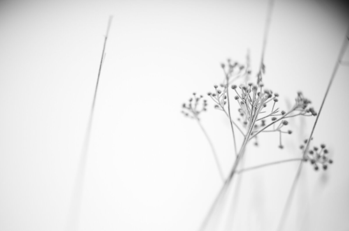fine_art_photographer _039