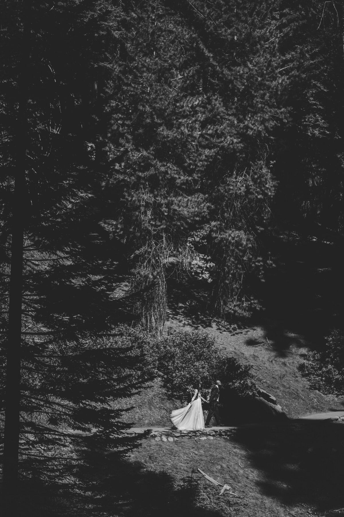 Alyssa & Orlando Sequoia Elopement (52 of 170)