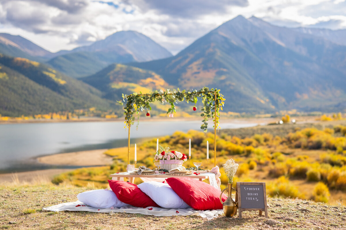 Swati and Anisha Proposal-7