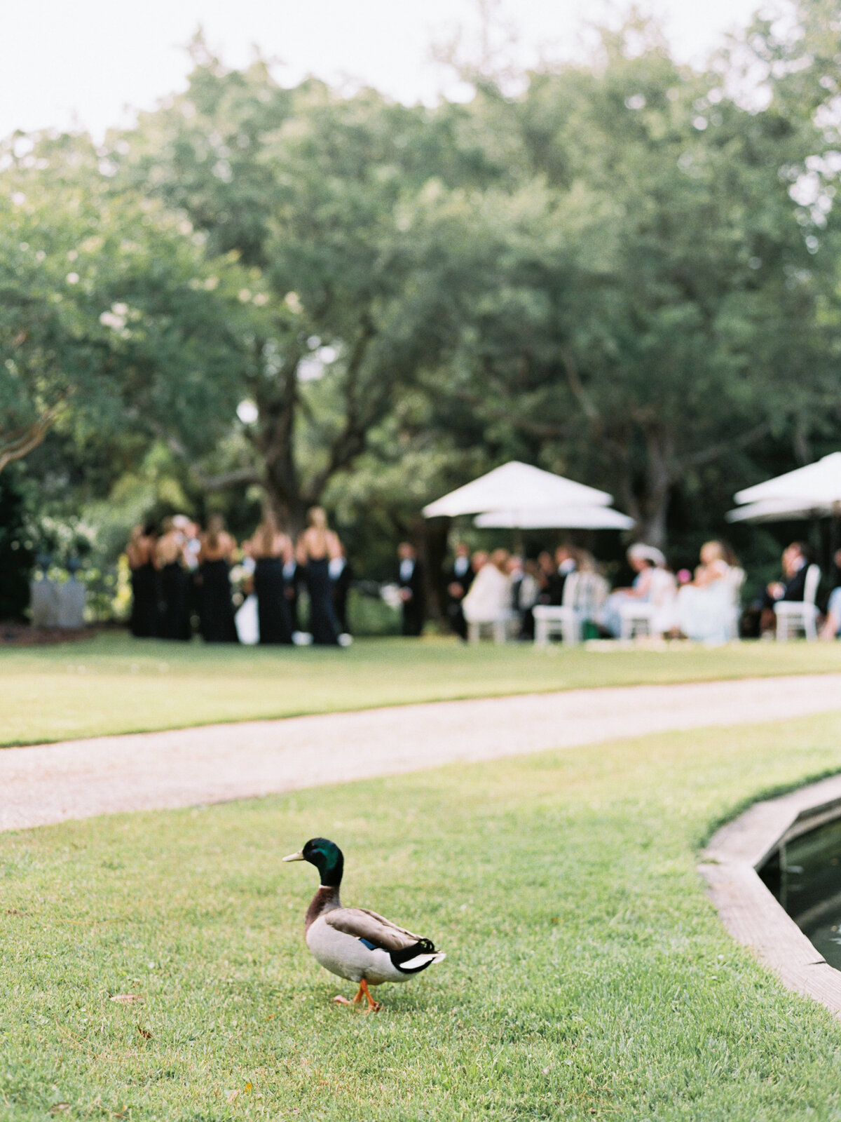 Lookbook-inprogress--163