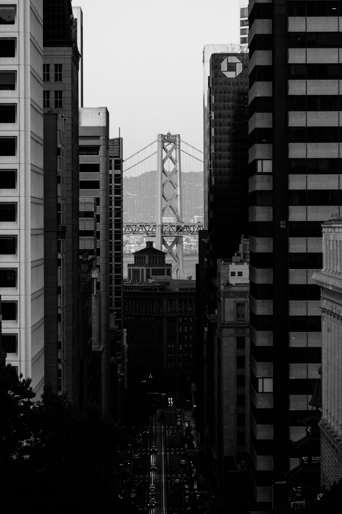 Framed by the City