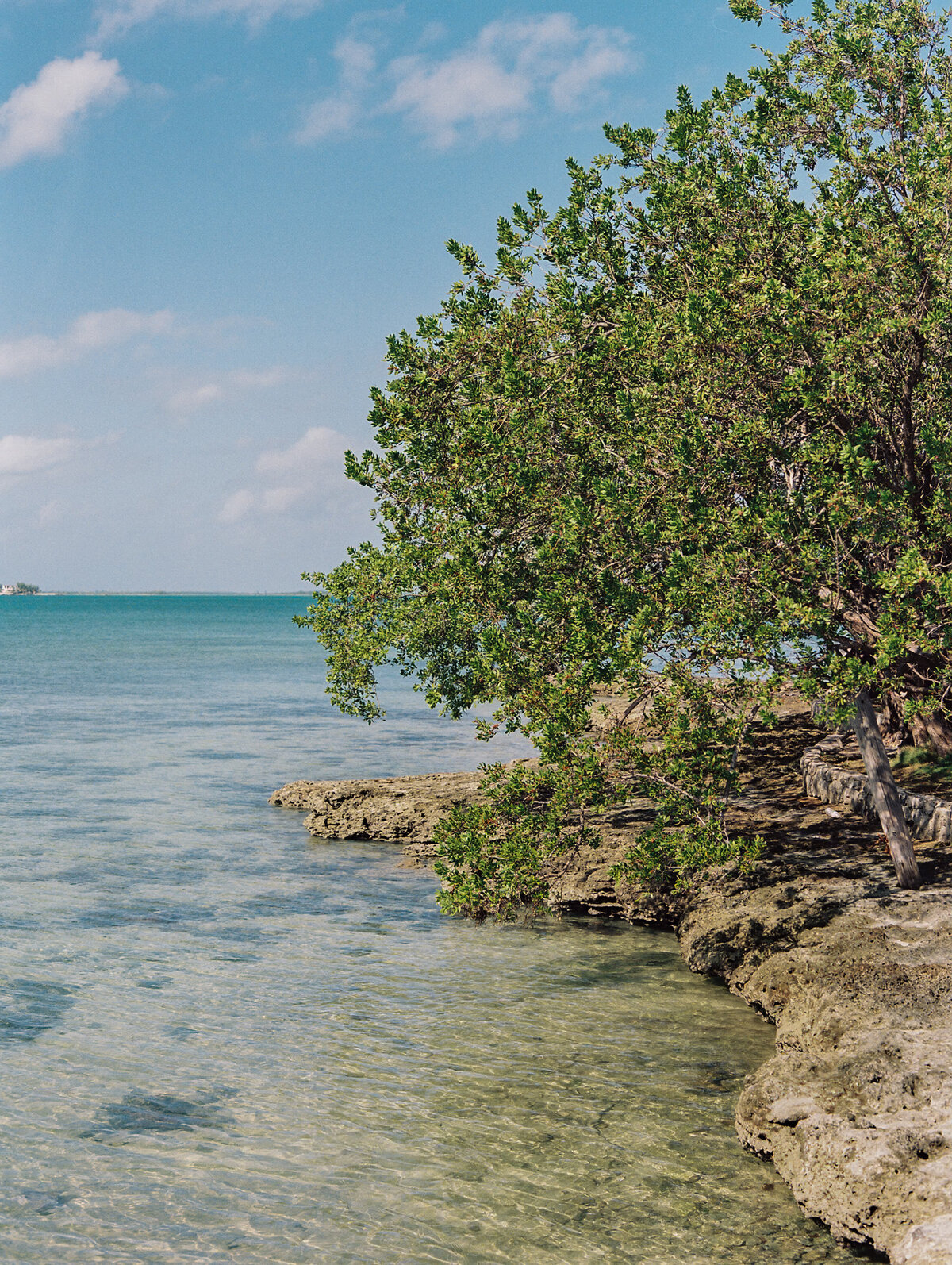 harbour island, bahamas wedding photographer-100