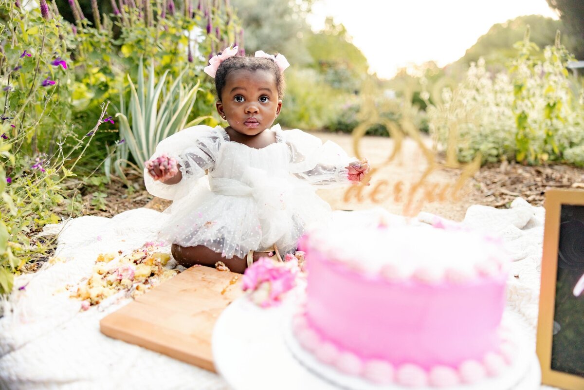 Brandi Rollins Photo_The Franklins 2024_177
