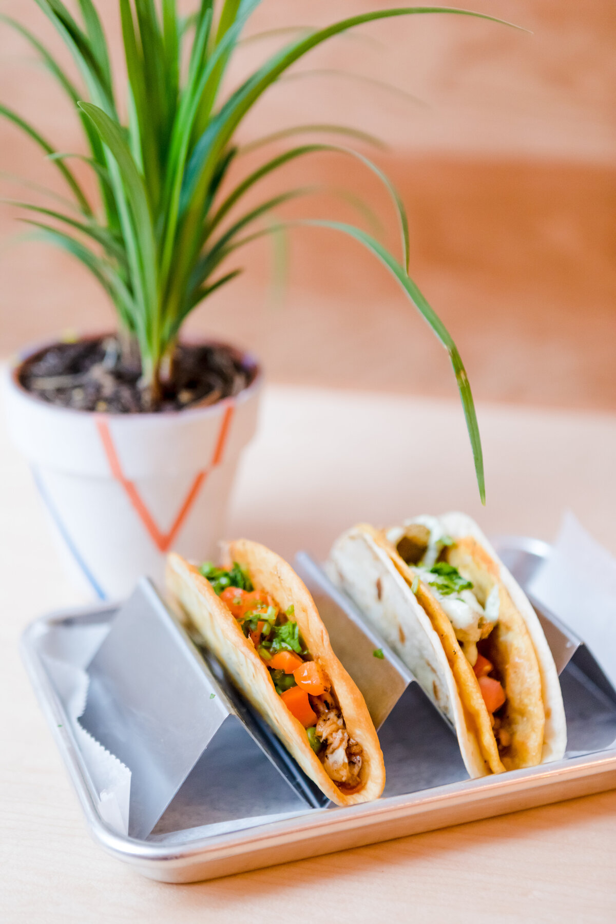 soul_taco_Richmond_VA_food_fusion_restaurant_modern-5321