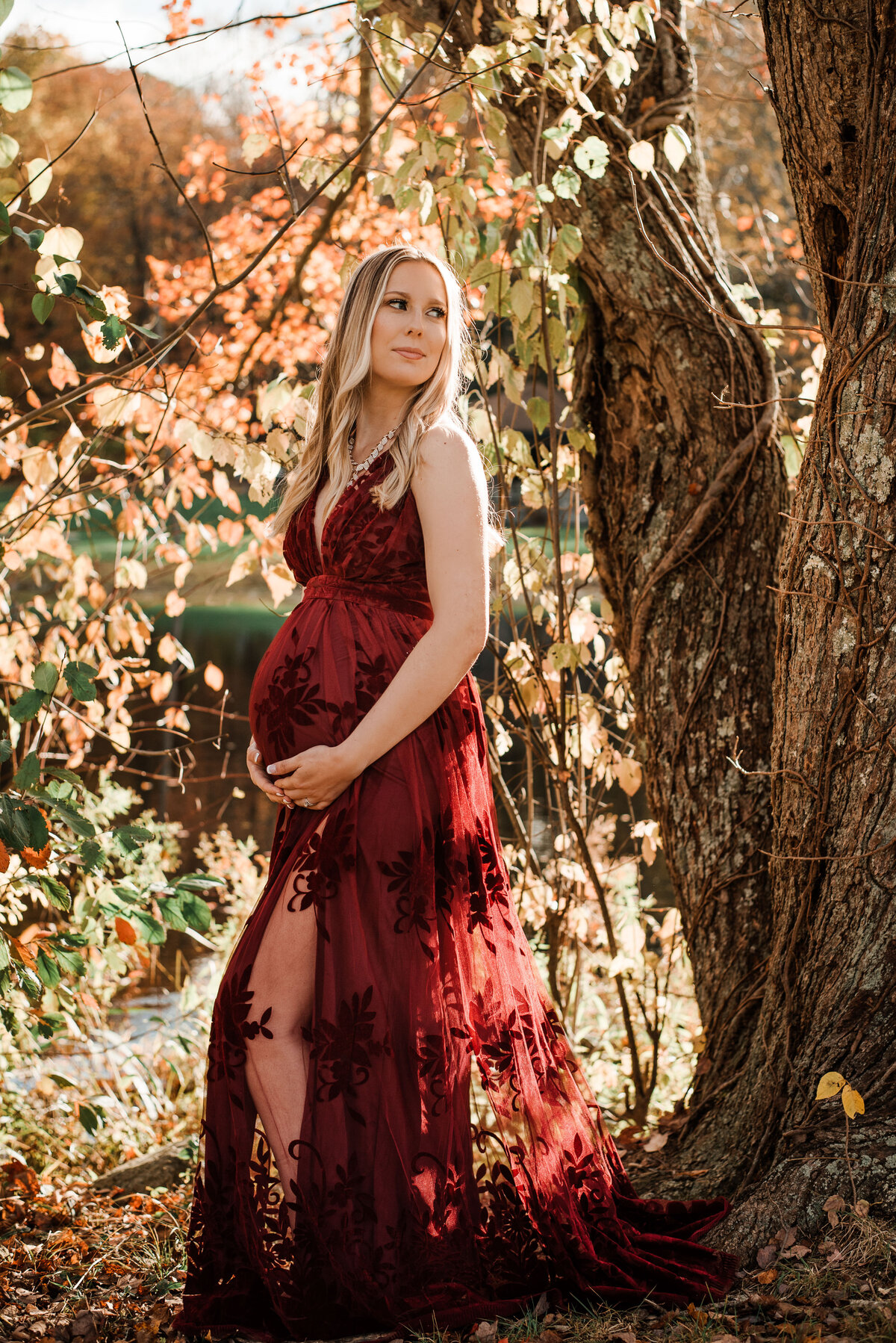 Fall outdoor maternity portrait with pregnant woman wearing maroon lace long dress holding baby bump next to tree and fall leaves