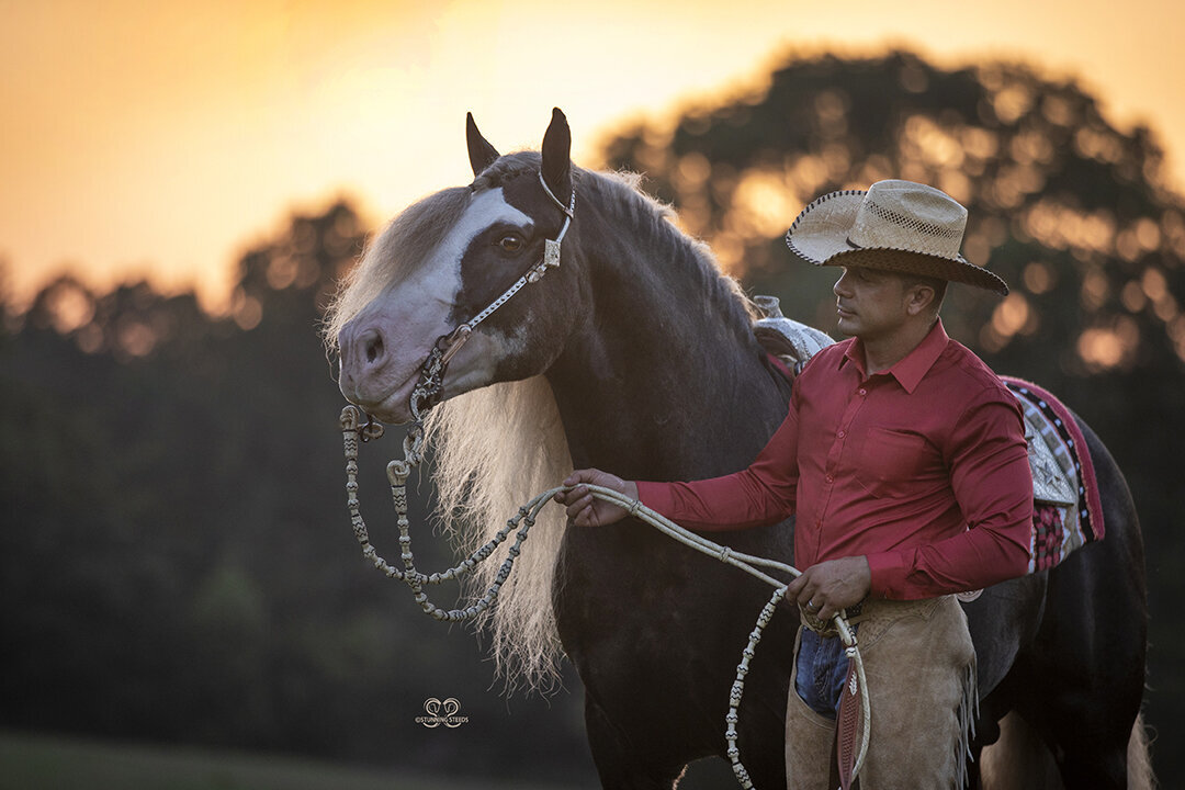 AA0I0980©StunningSteedsPhoto-LR