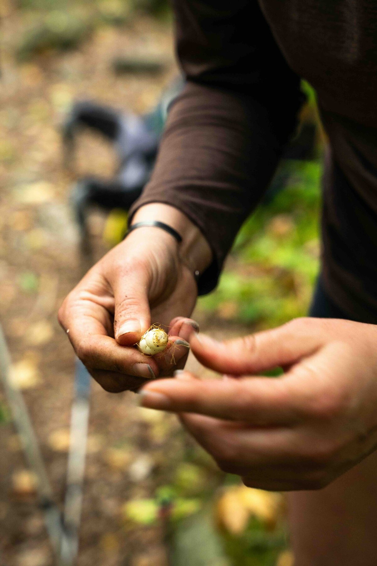 3_Meredith Ewenson Women's Group Hiking Trip_White Mountains New Hampshire_Appalachian Mountain Club_Hut to Hut_October 2025