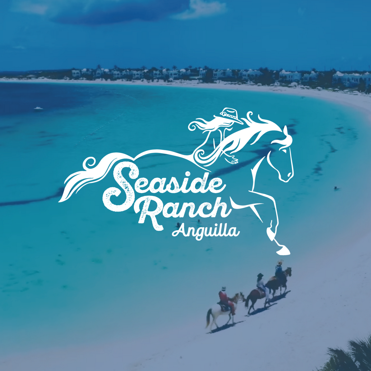 Main Logo on beach photo
