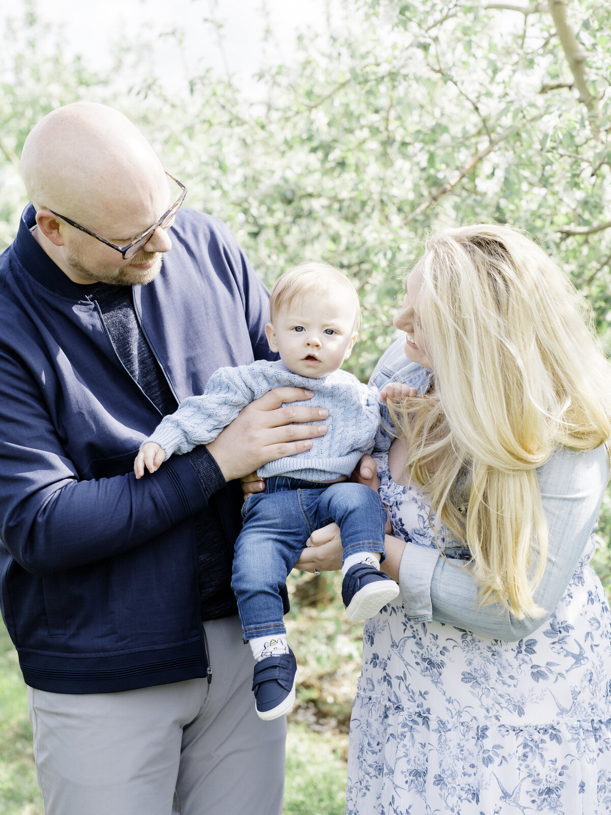 appleblossoms2 2