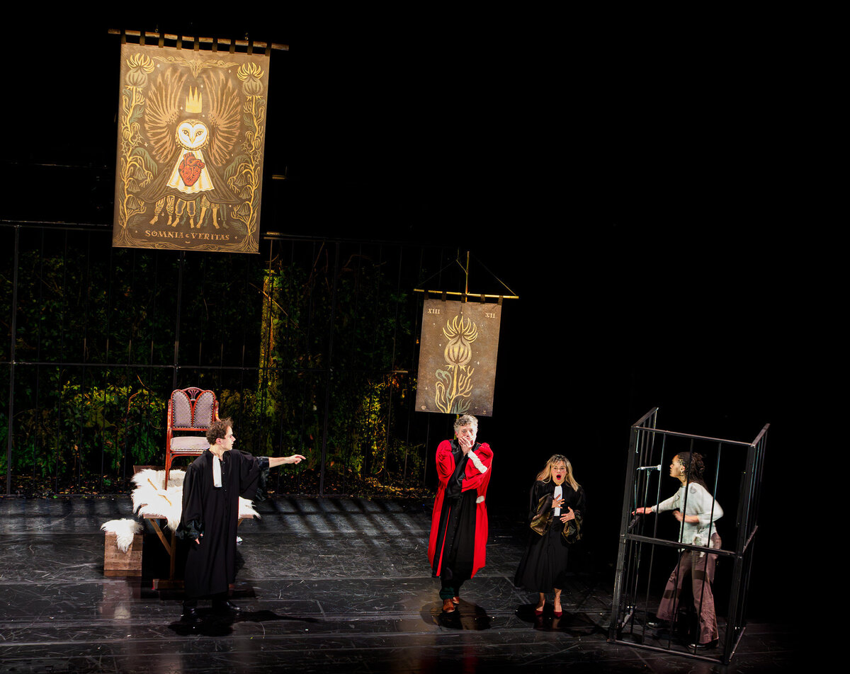 ROBIN  TPV_2130082-Enhanced-NR