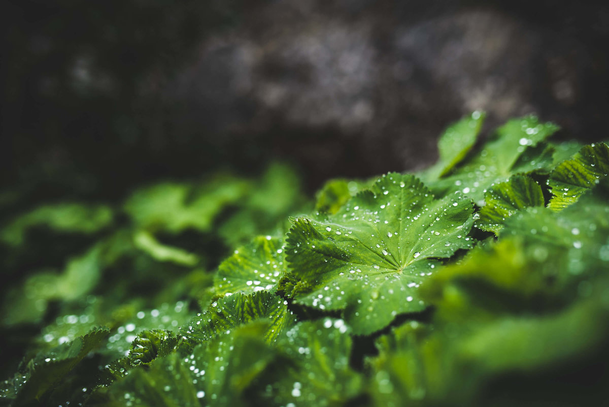 personal_32112309353_026cd7c2ee_o