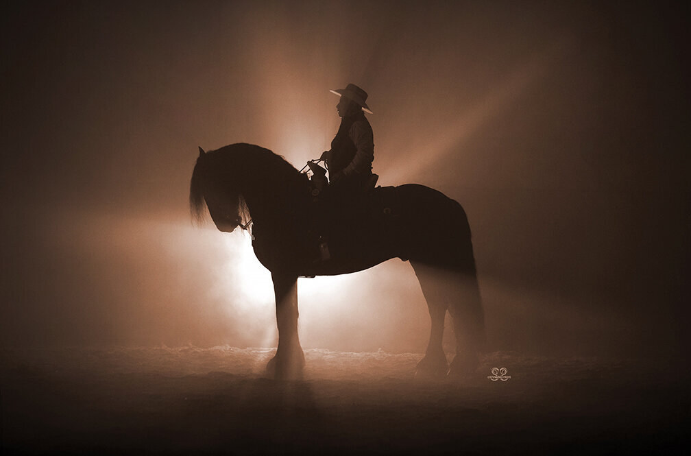 friesian stallion chicago