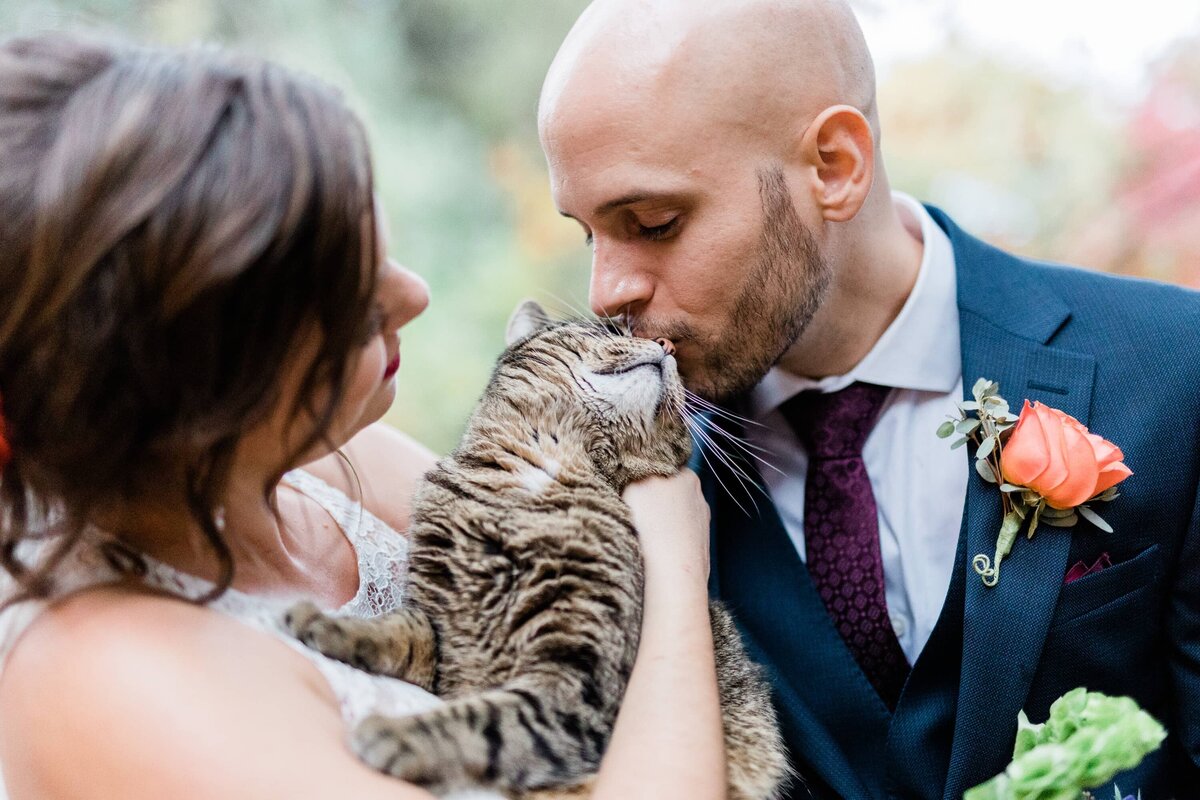 Bride holding her cat while the groom kisses his head at a backyard wedding in Harrisburg PA