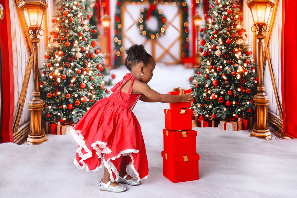 houstonchristmasminis (7)