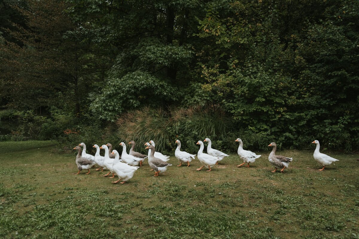 KATHLEEN-NICK-SUMMER-WEDDING-AT-BUTTERMILK-FALLS-INN-NY_PHOTOS_BY_MARIA_B_LUNG_0727