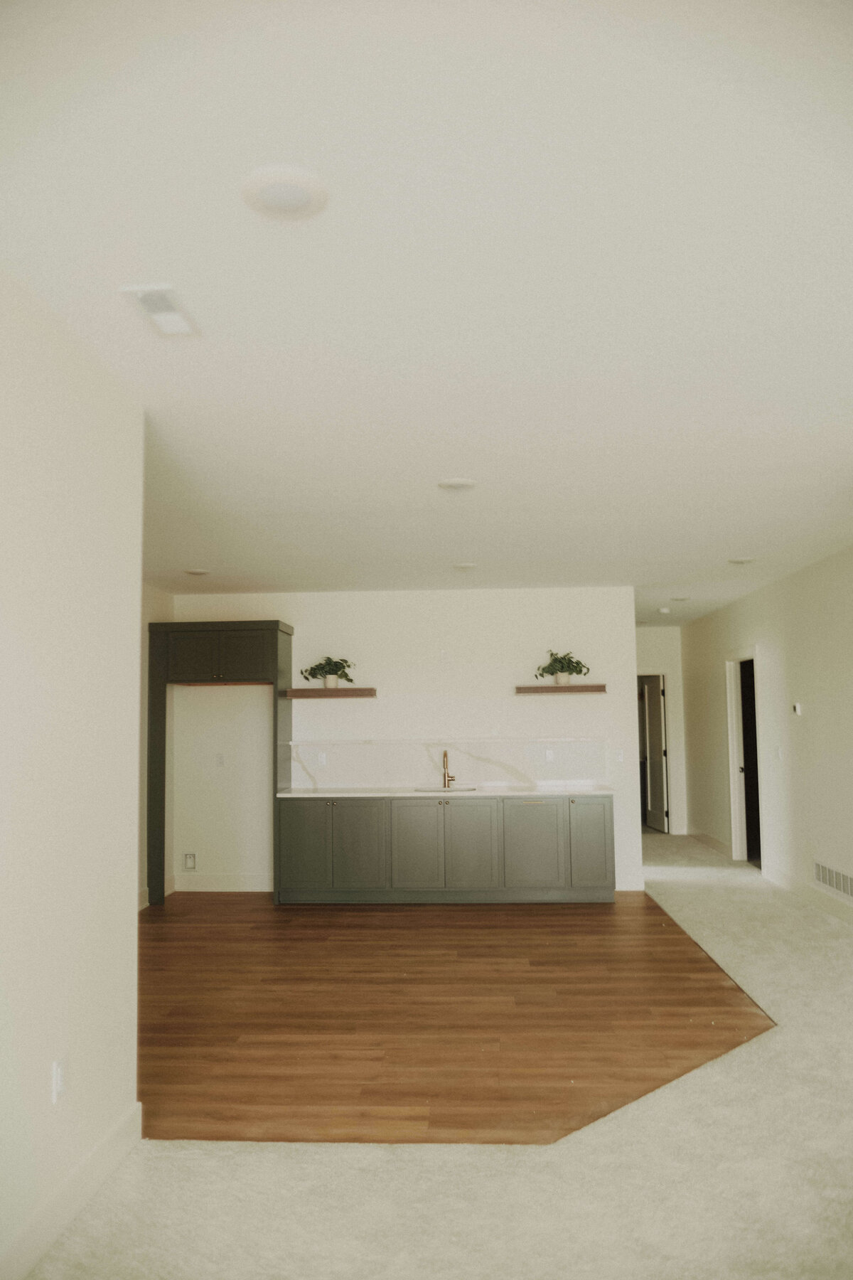 3029-Finished-Basements-Grimes-Central-Iowa-Custom-Home-JRL-Builders-3F1A4584