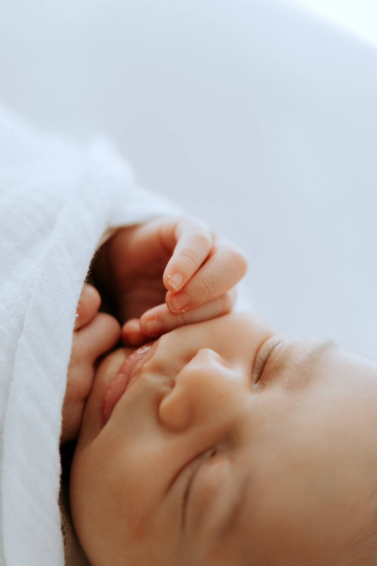 Los Angeles Newborn Photographer 4