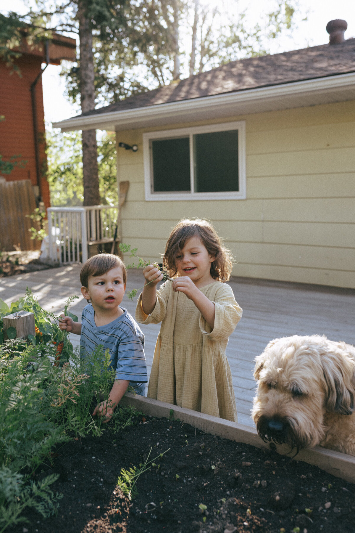lethbridge-family-photographer-Sam-Hornquist-Photography-20
