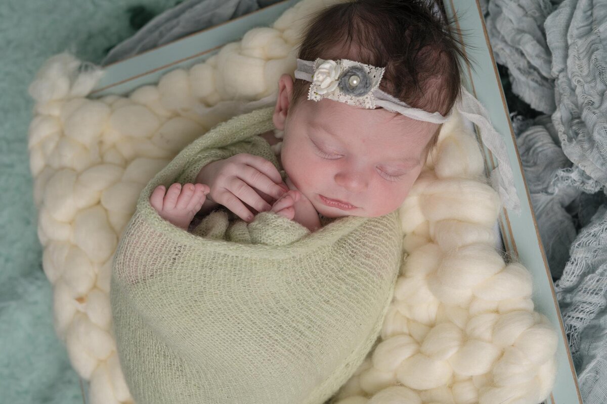 Baby Collette P Newborn Girl Photos-1123