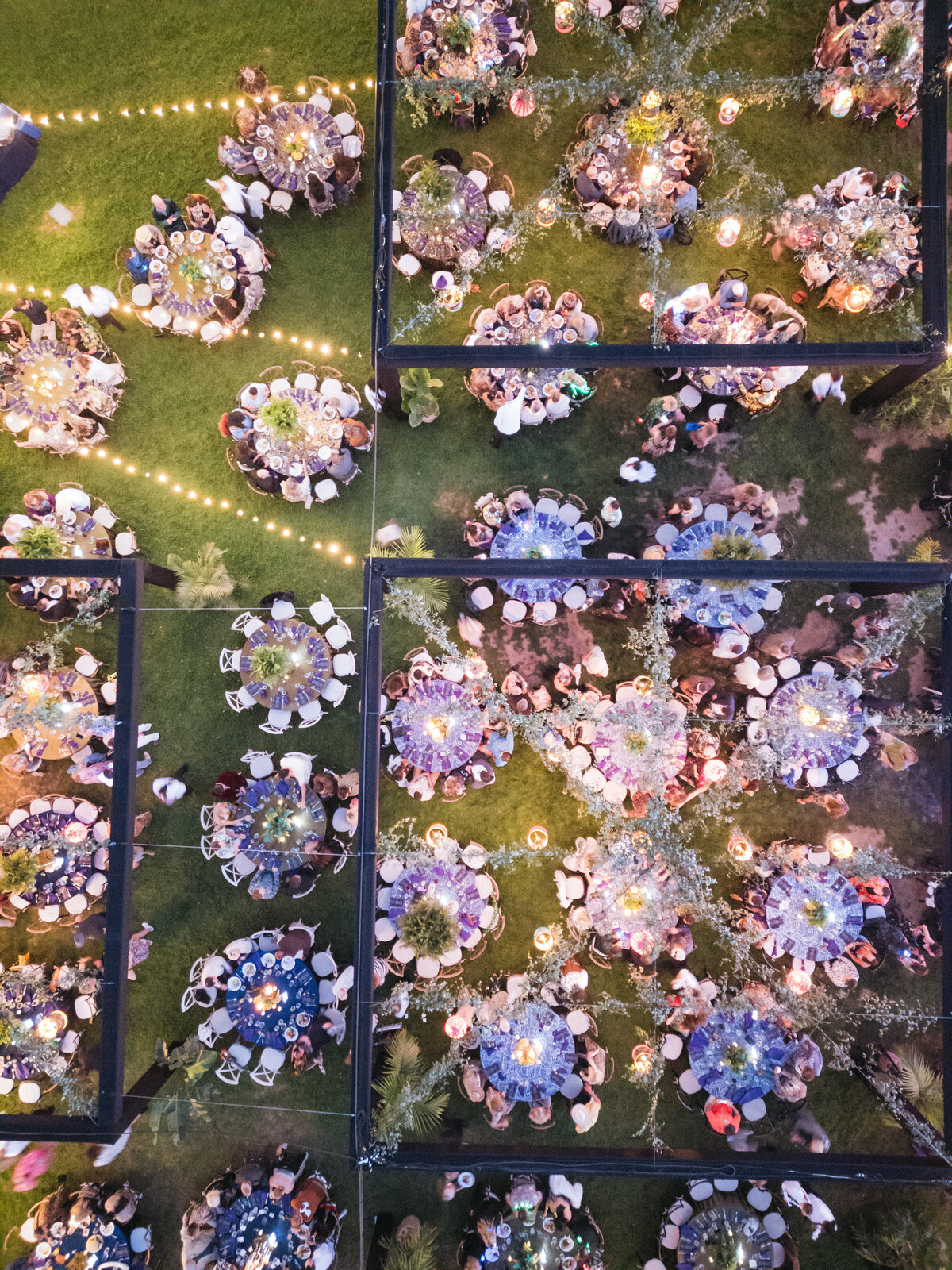 Tyler Speier Events - Zoofari2024-14