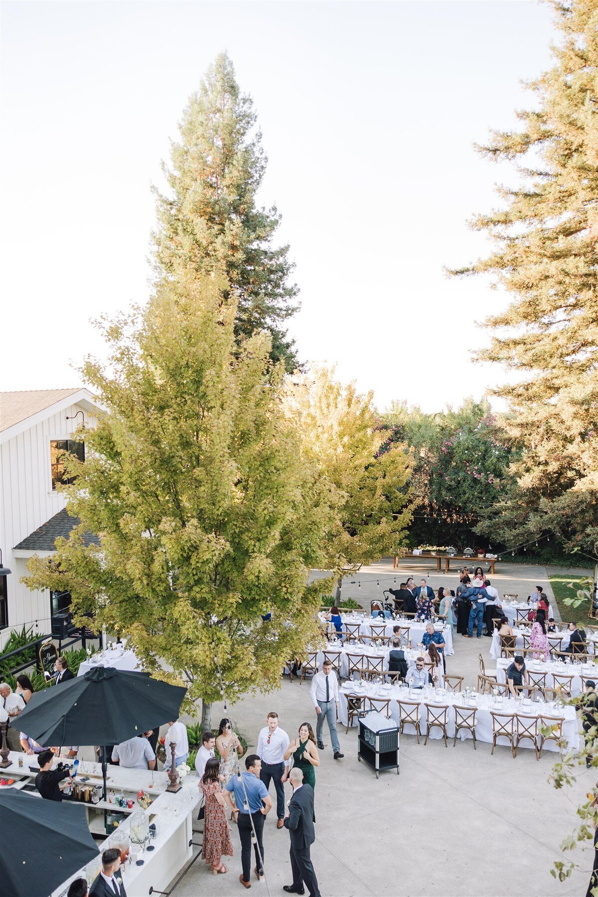 Park-Winters-wedding-Clay-Shauna-previews-ashley-carlascio-photography-0116